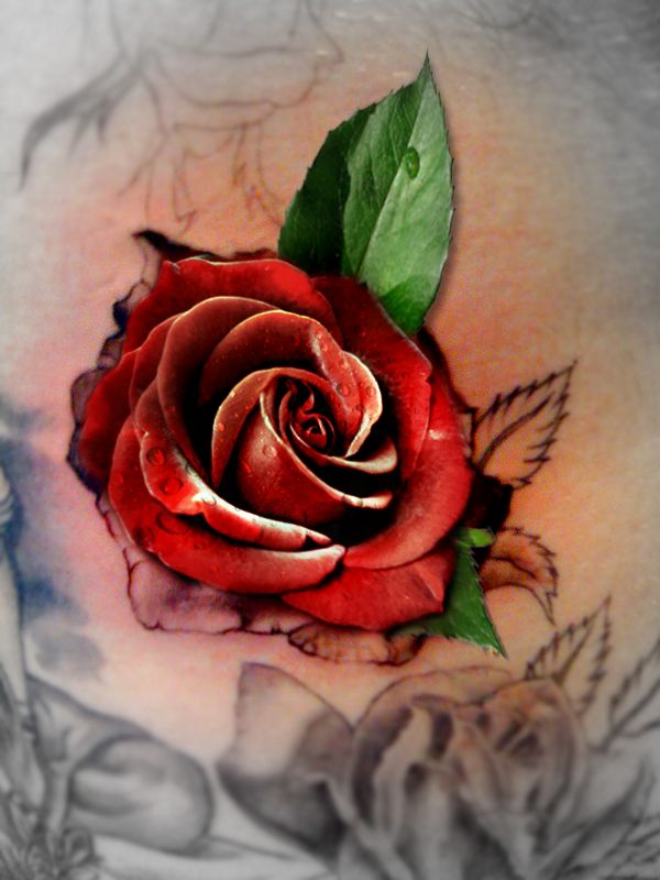 Rose tatoo